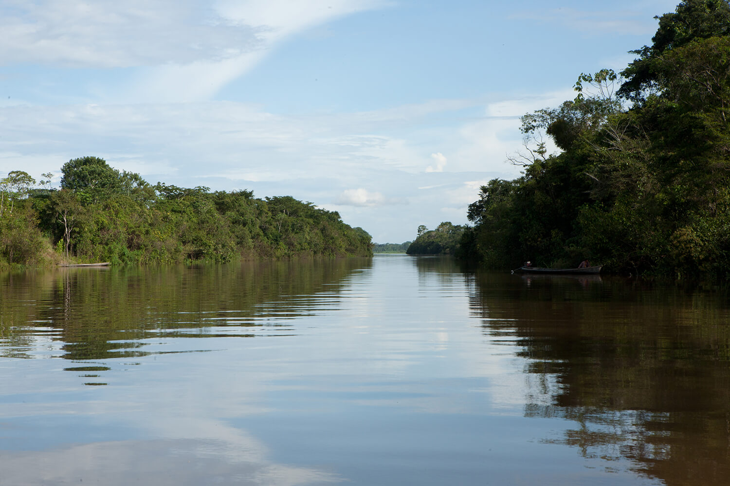 AMAZONAS 9 rio galeria_MG_4200.jpg